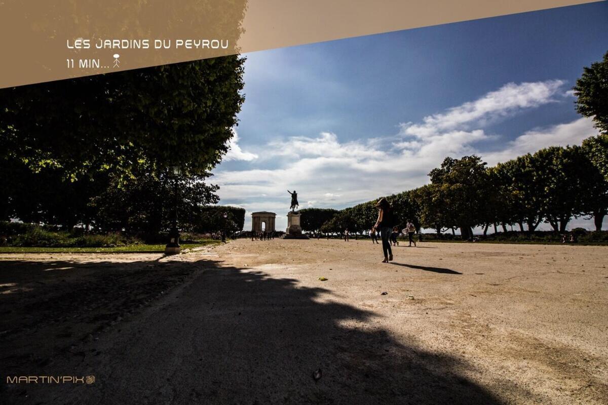 L'Amoureux - Terrasse Et Climatisation Coeur De Ville モンペリエ エクステリア 写真
